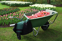 Plant Delivery_2
