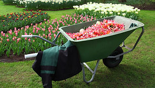 Plant Delivery_2