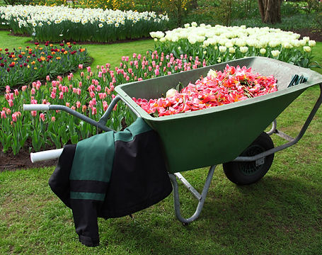 Plant Delivery_2