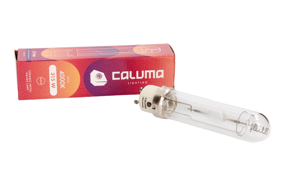 Caluma CMH-Leuchtmittel