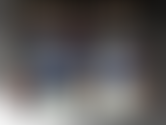 WBC 한국 야구 도미니카 8강 4강