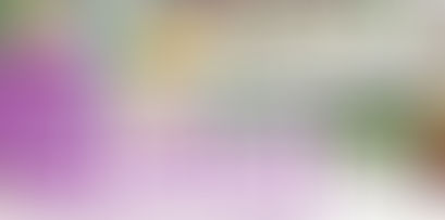 LOCCI AGRICOLTURA Via Don Luigi Sturzo, 2 CASTELFIORENTINO (Fi)