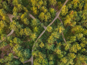 Natuurbegraven: een laatste plek in de natuur