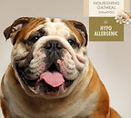 hypo shampoo_edited.jpg