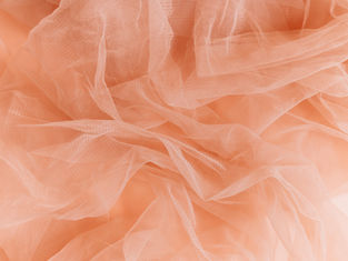 Peach Fuzz : La tendance de 2024