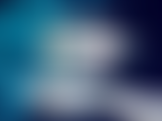 Why Orange County Brands Need SEO That Goes Beyond Google