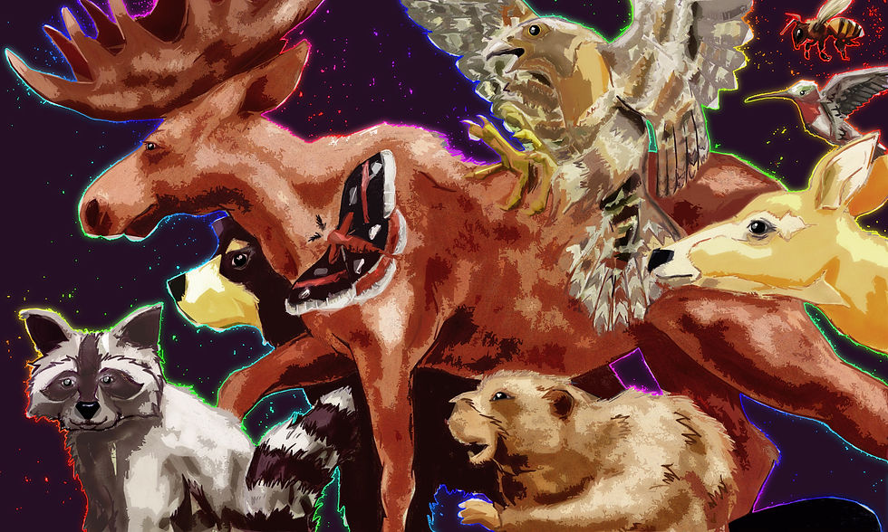 VermontAnimals