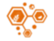 FoodTechies-OrangeNoTextSocialMedia (2).