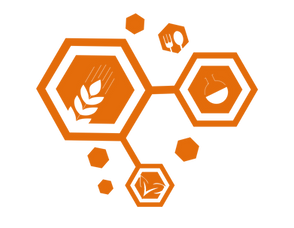 FoodTechies-OrangeNoTextSocialMedia (2).