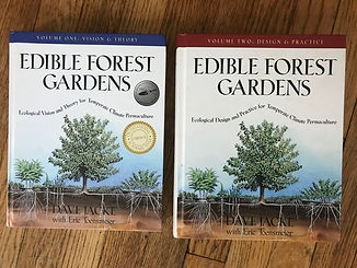 Edible Forest Gardens
