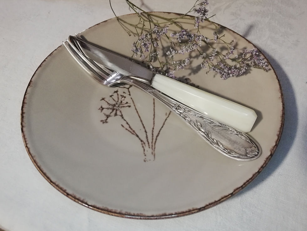 12 couteaux vintage bakélite neuf