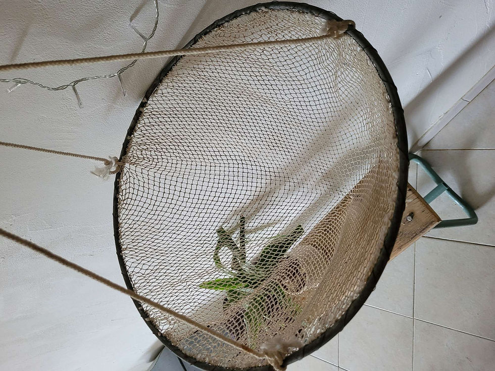 nasse de pêcheur vintage à détourner