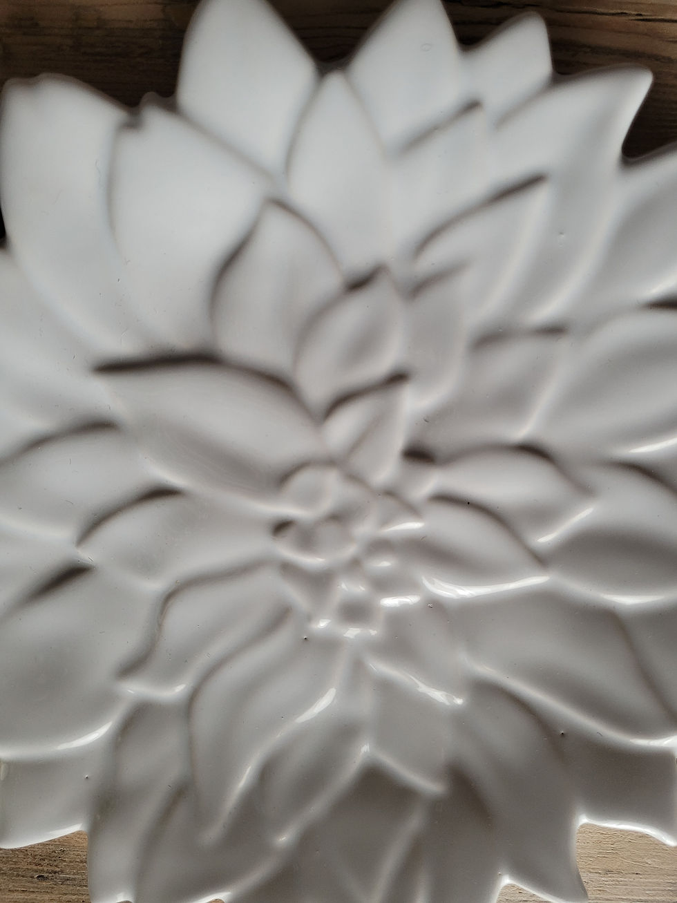 grandes assiettes Molin Charolles nénuphar