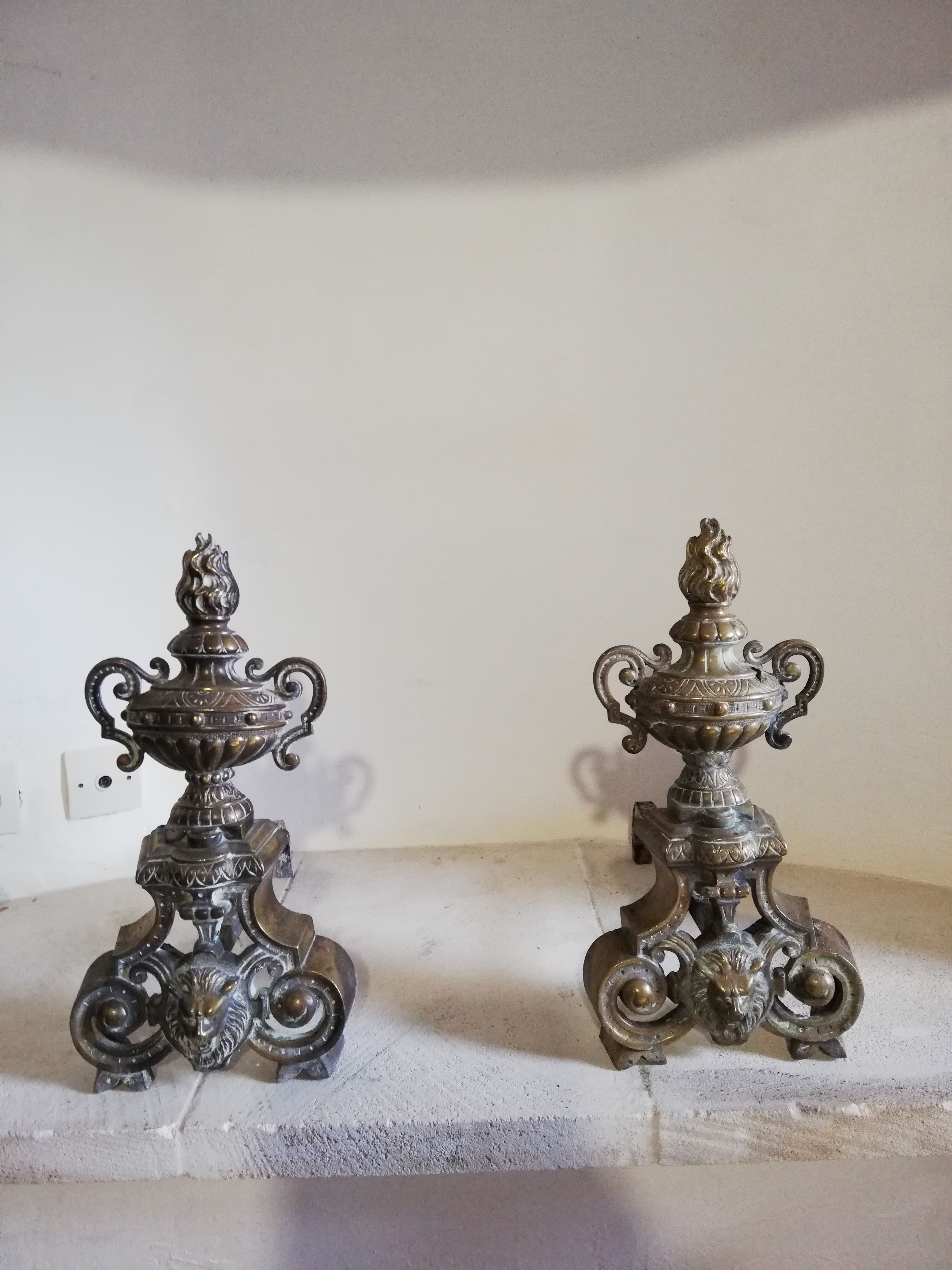 Paire de chenet en bronze