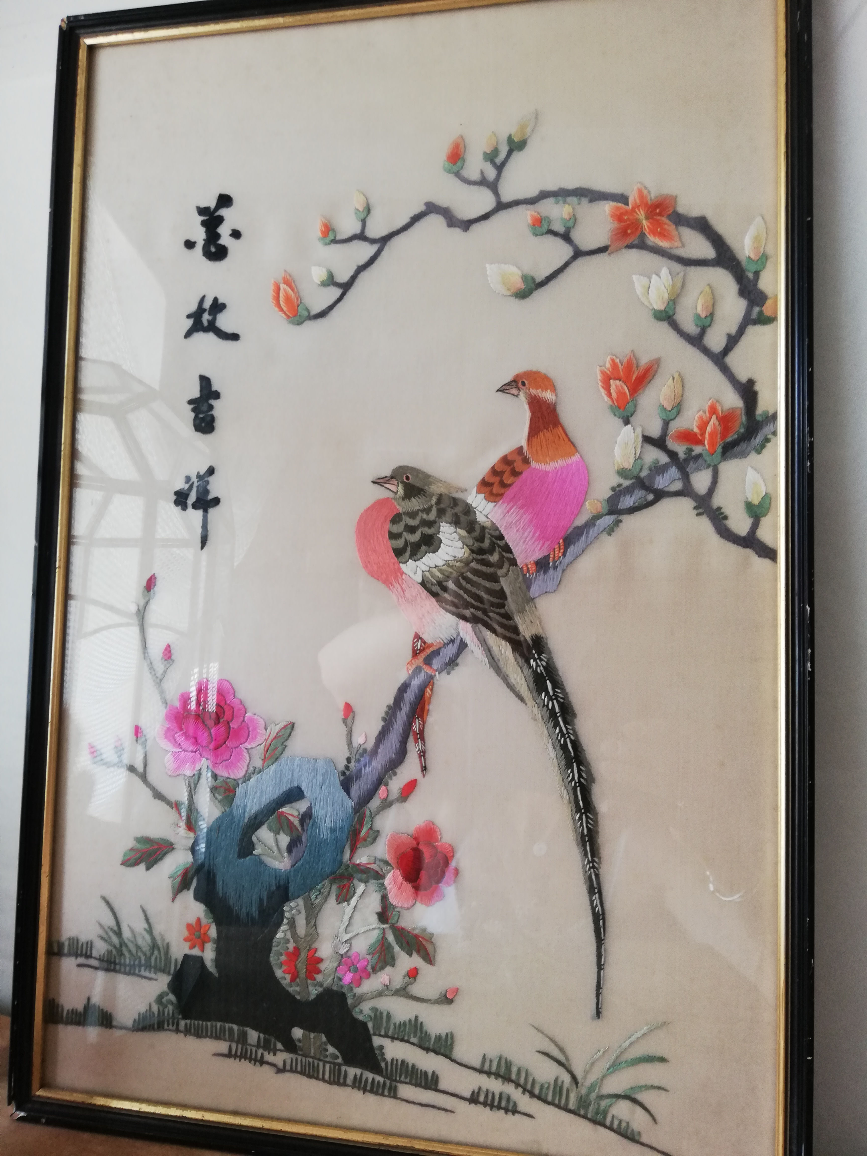 broderie oiseaux exotiques sous cadre