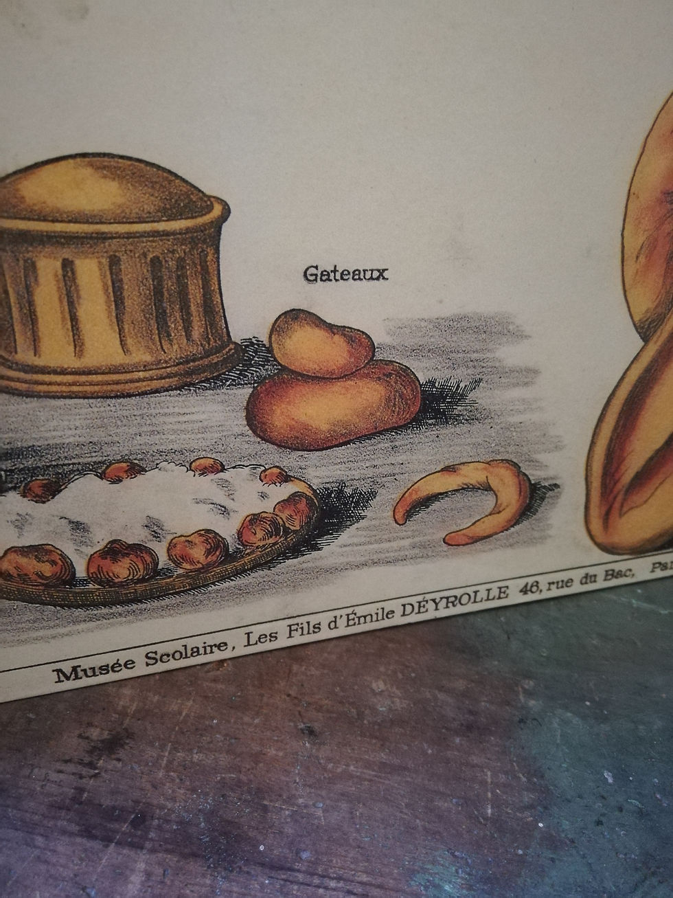 Affiche Deyrolle 1950