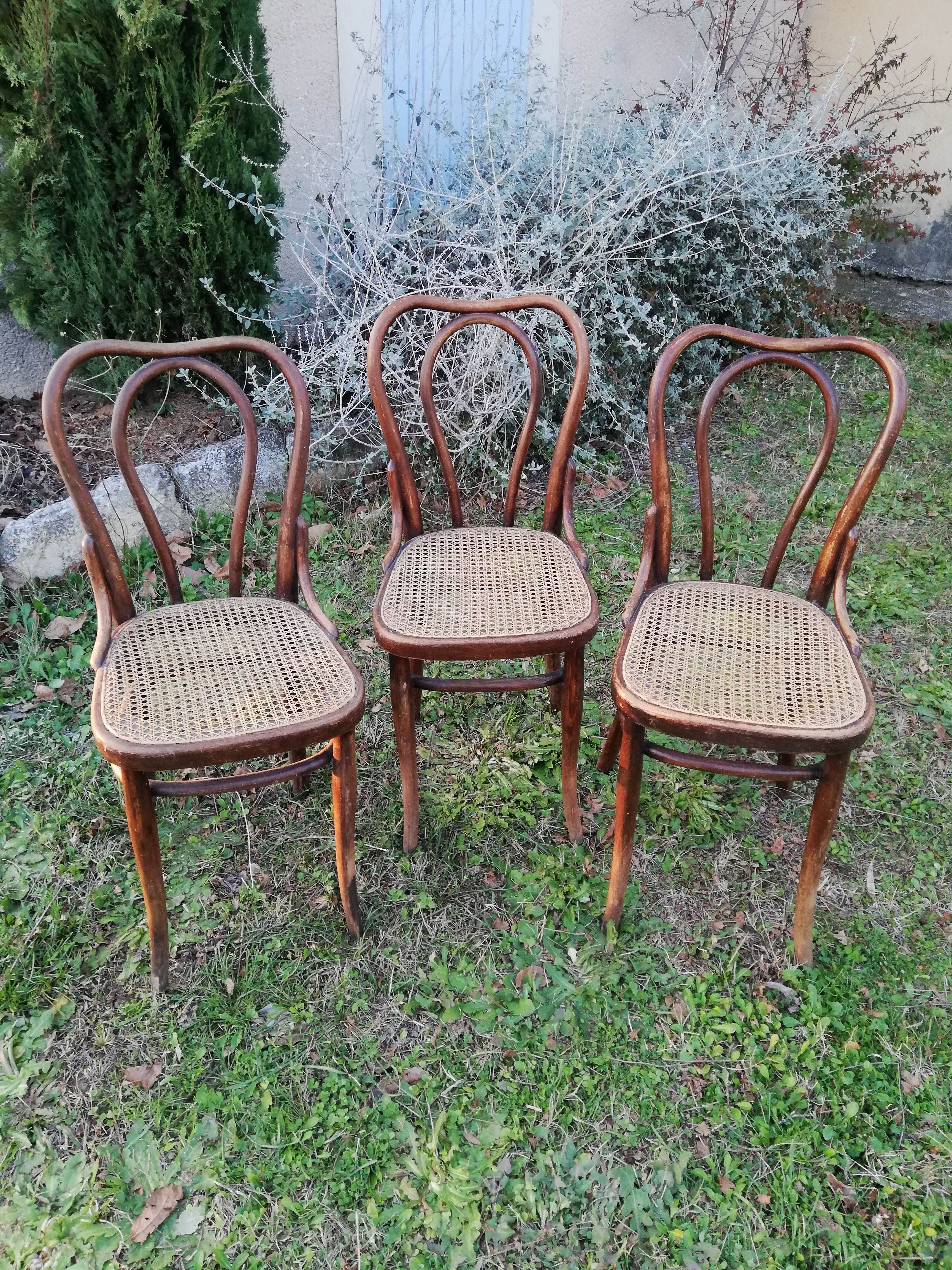 3 chaises bistrot Thonet avec cannage