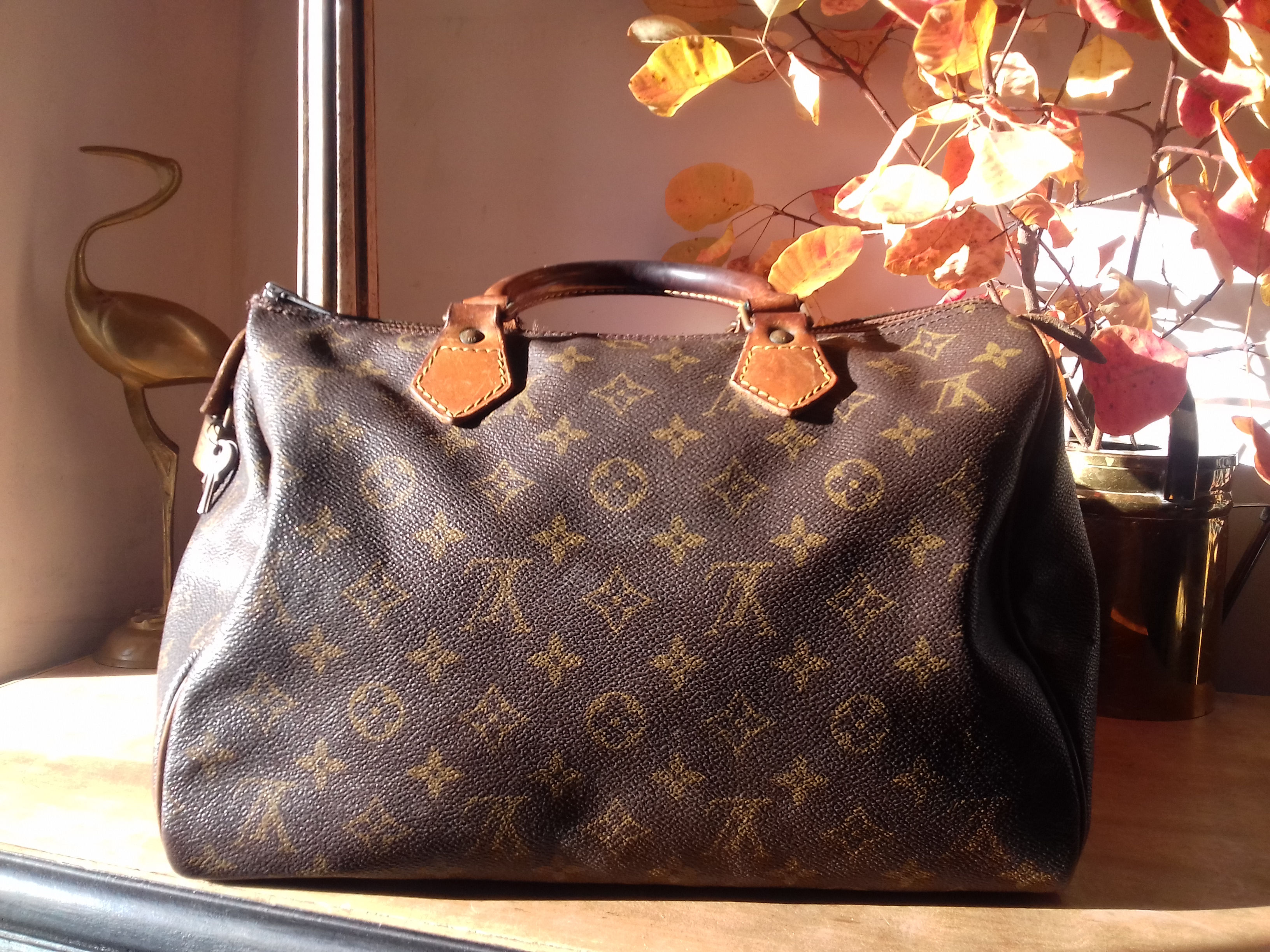 sac Louis Vuitton