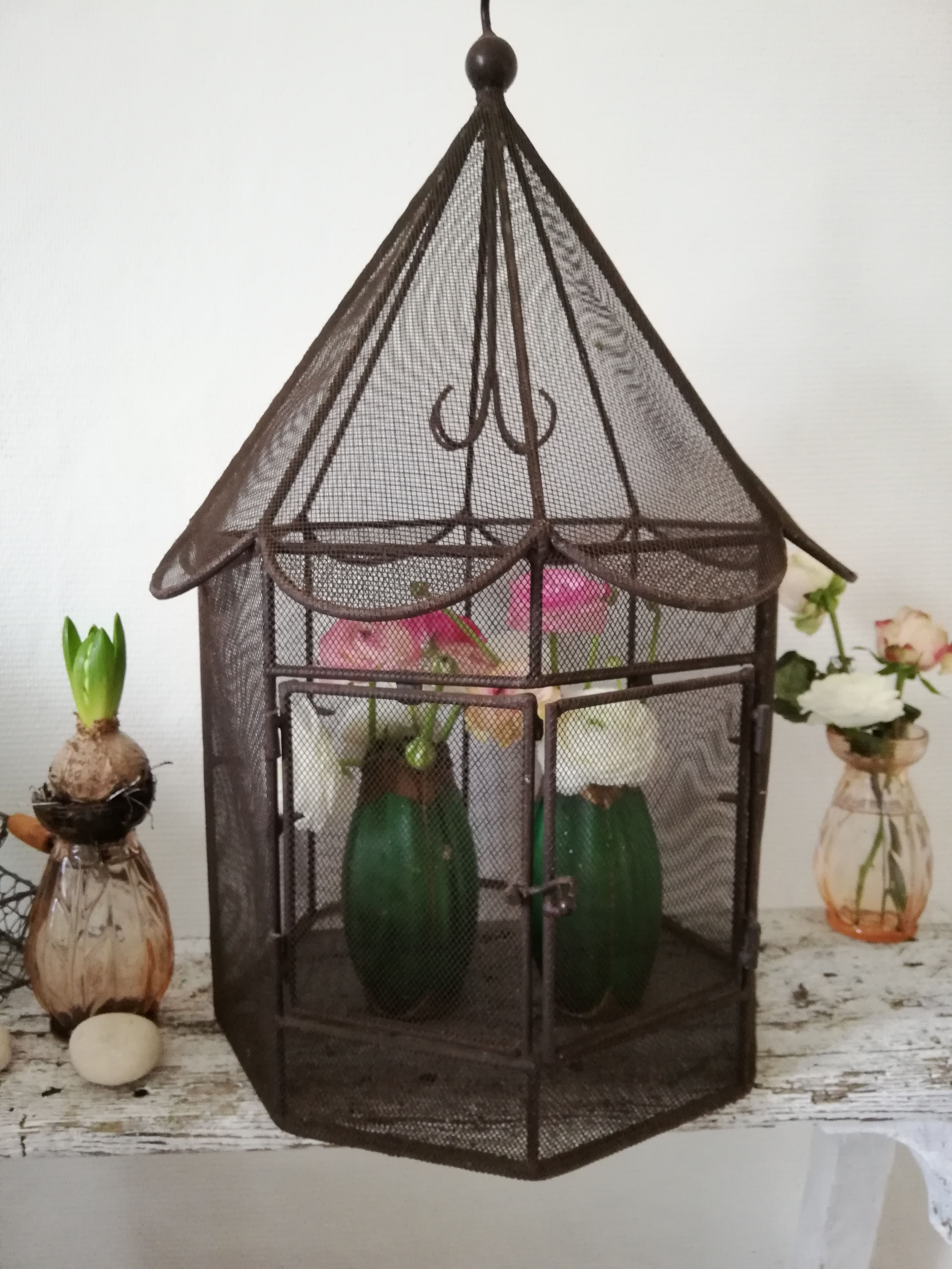 Cage XXe tout métal