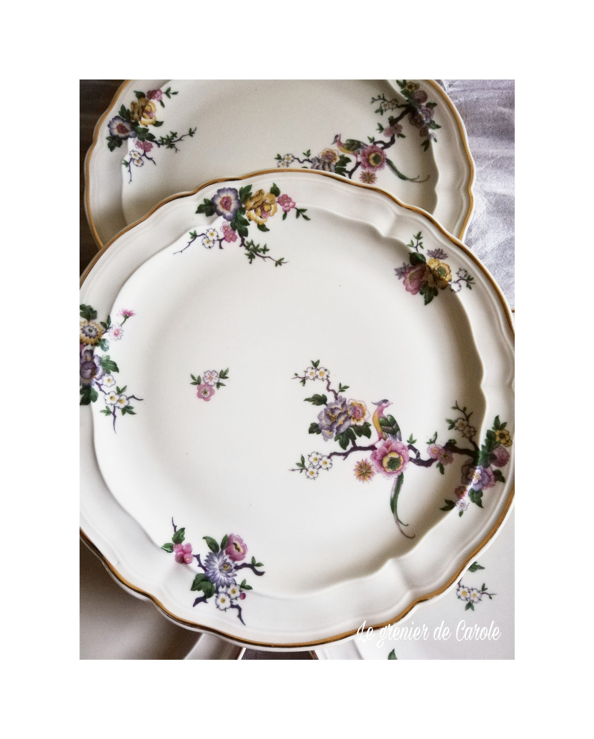 9 assiettes plates Bernardaud Bengali