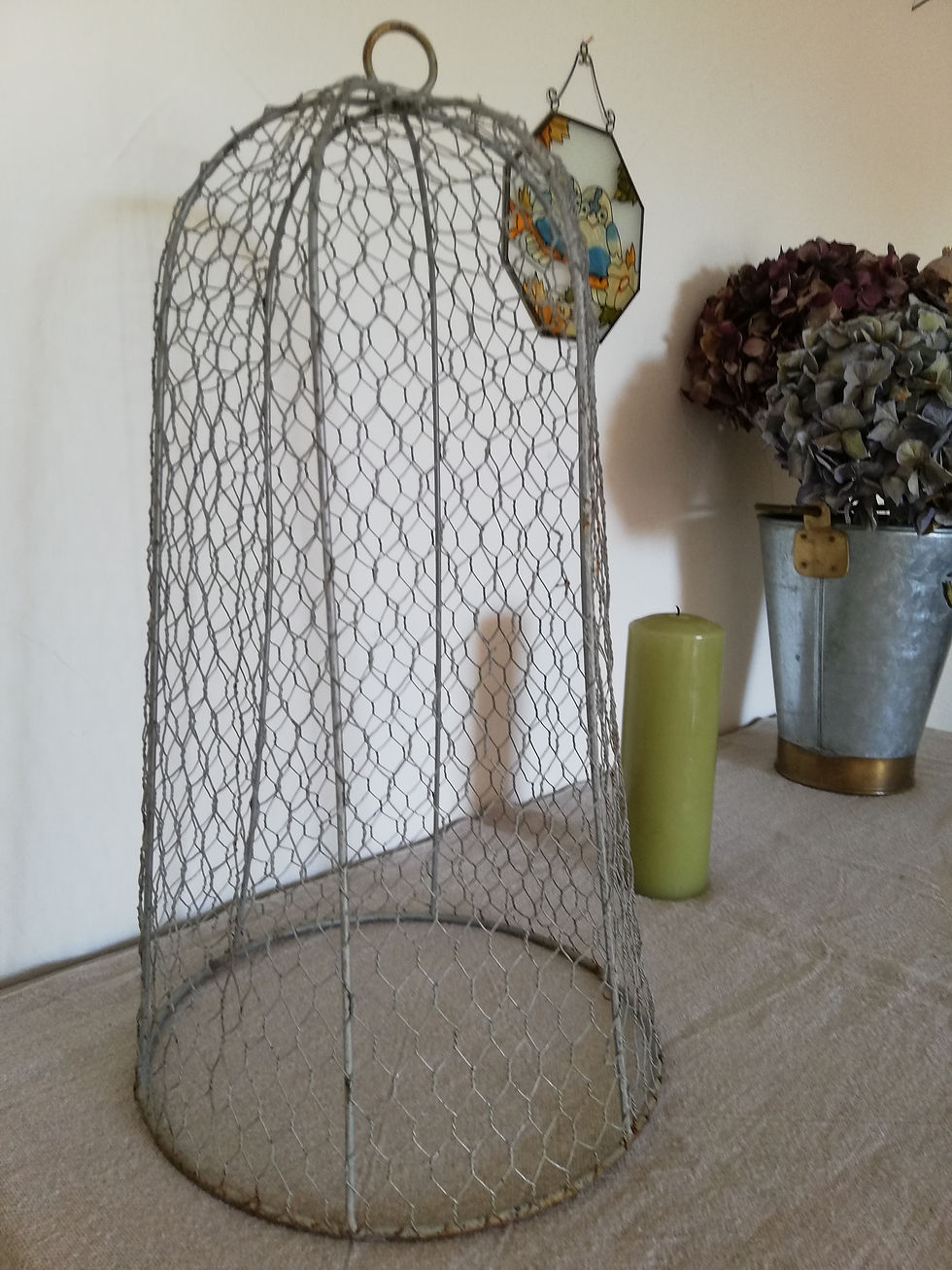 cloche en grillage à poule vintage