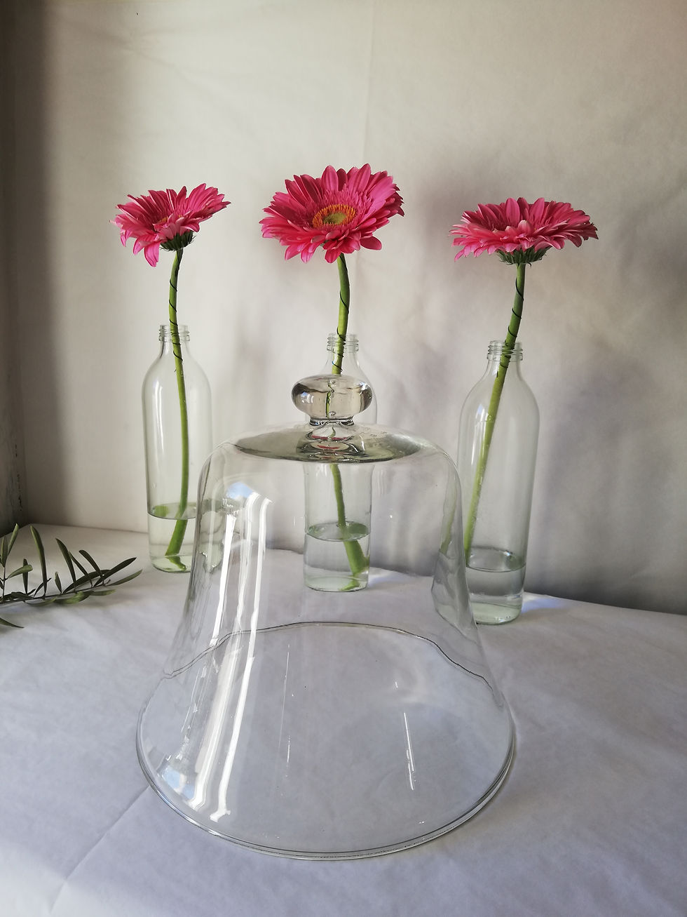 cloche ancienne en verre