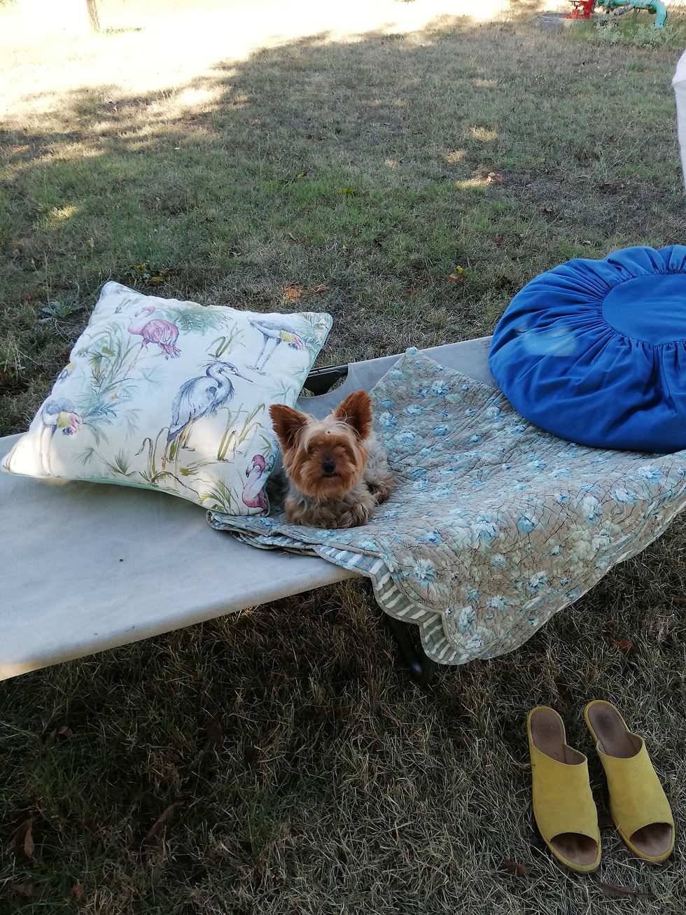 lit camp vintage de l'armee