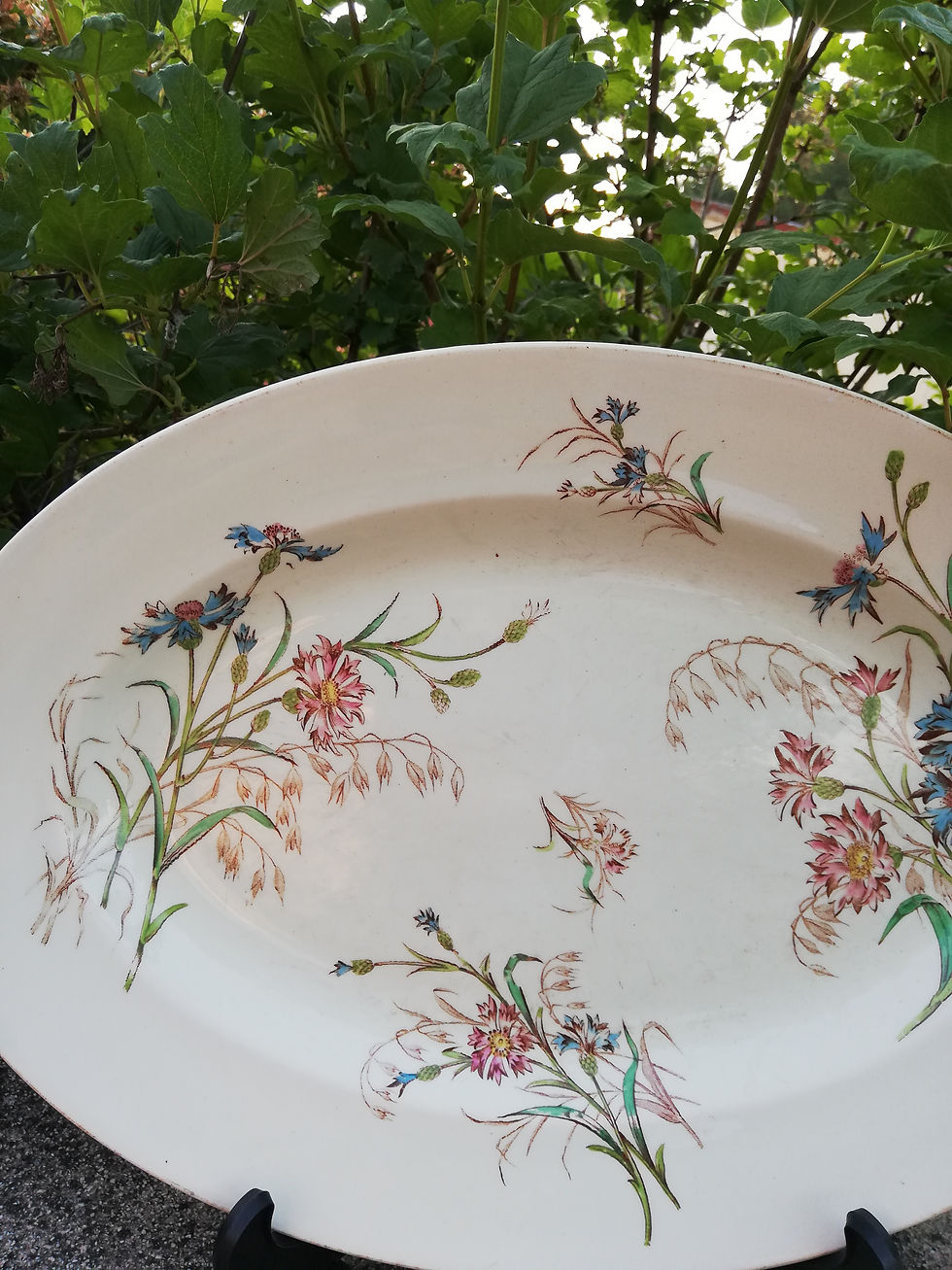 luneville terre de fer modele bleuet