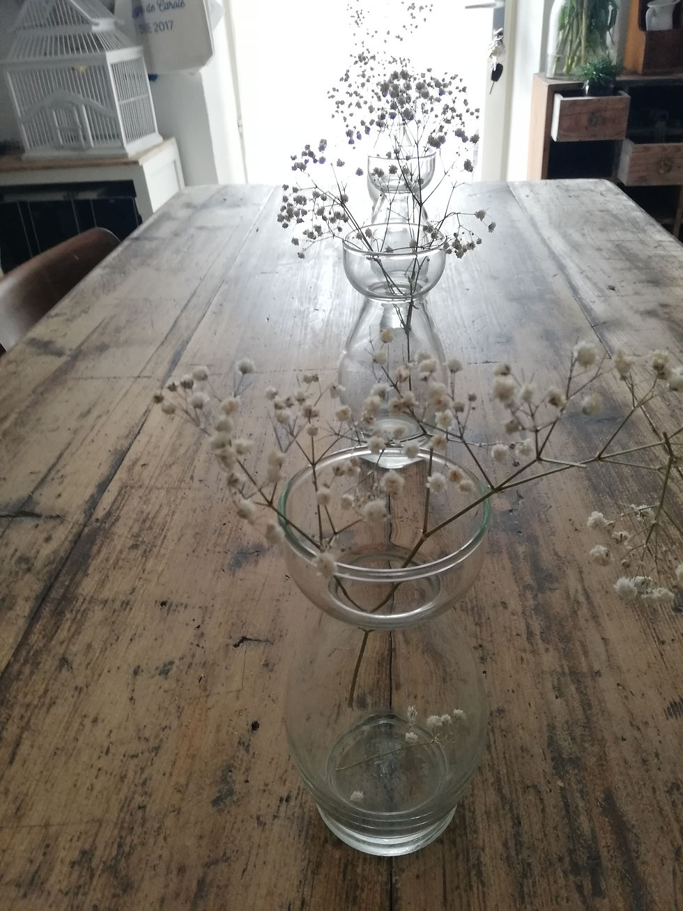 5 vases à bulbes vintage