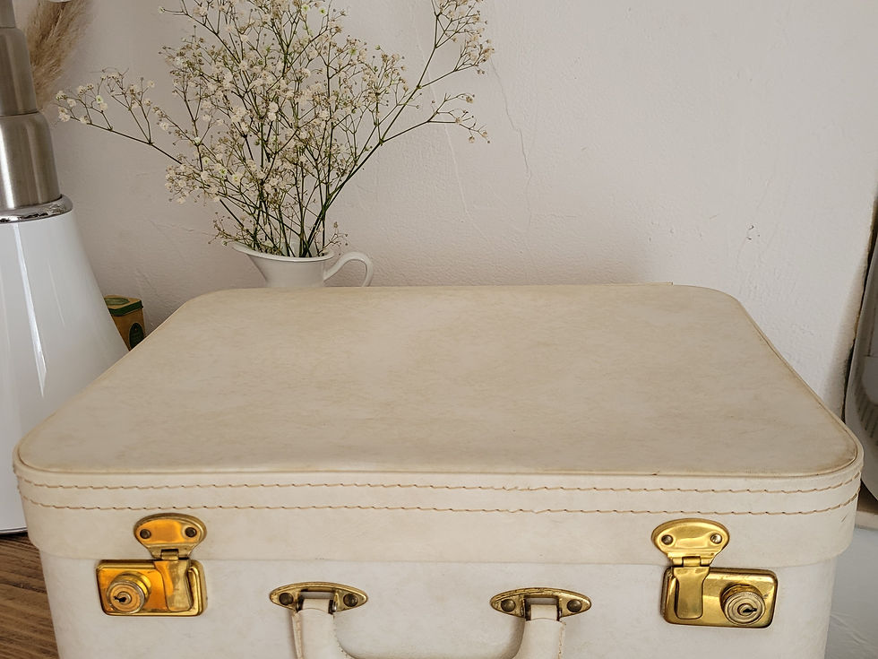 valise vintage blanche