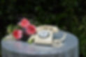 Audio Guestbook Victoria