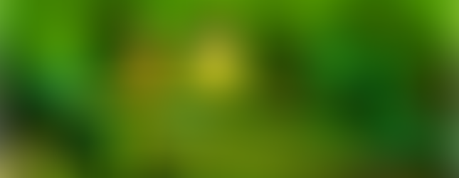 Bob Esponja: Em Busca da Calça Quadrada (Paramount/Divulgação)