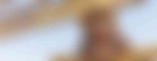 Chico Bento e a Goiabeira Maraviósa (Paris Filmes/Paramount Pictures/Mauricio de Sousa Produções/Divulgação)