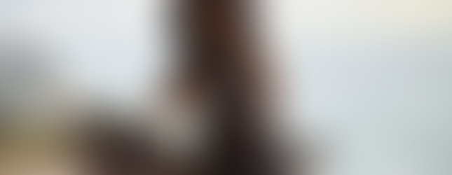 Shadow Force - Sentença de Morte (Paris Filmes/Divulgação)