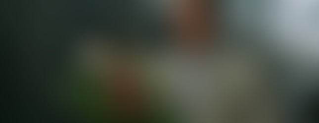 O Brutalista (Universal Pictures/Divulgação)