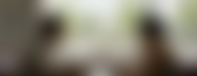 Um pai para Lily (Synapse Distribution/Divulgação)