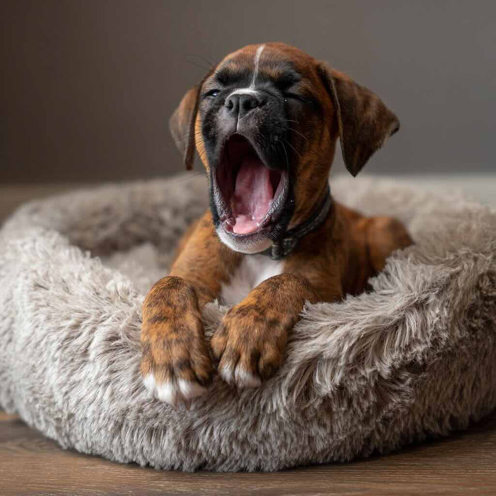 What Does It Really Mean to Be Awake?