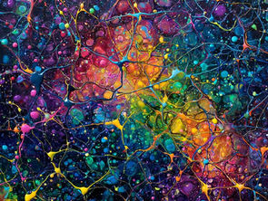 rewire your brain