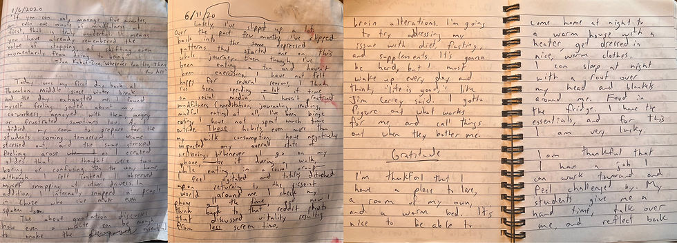 Images of my daily journal
