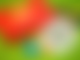 Το κουτί της ορθογραφίας! Ένας απλός τρόπος για να μάθει ορθογραφία!