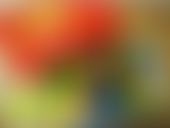 Το κουτί της ορθογραφίας γέμισε με λέξεις!