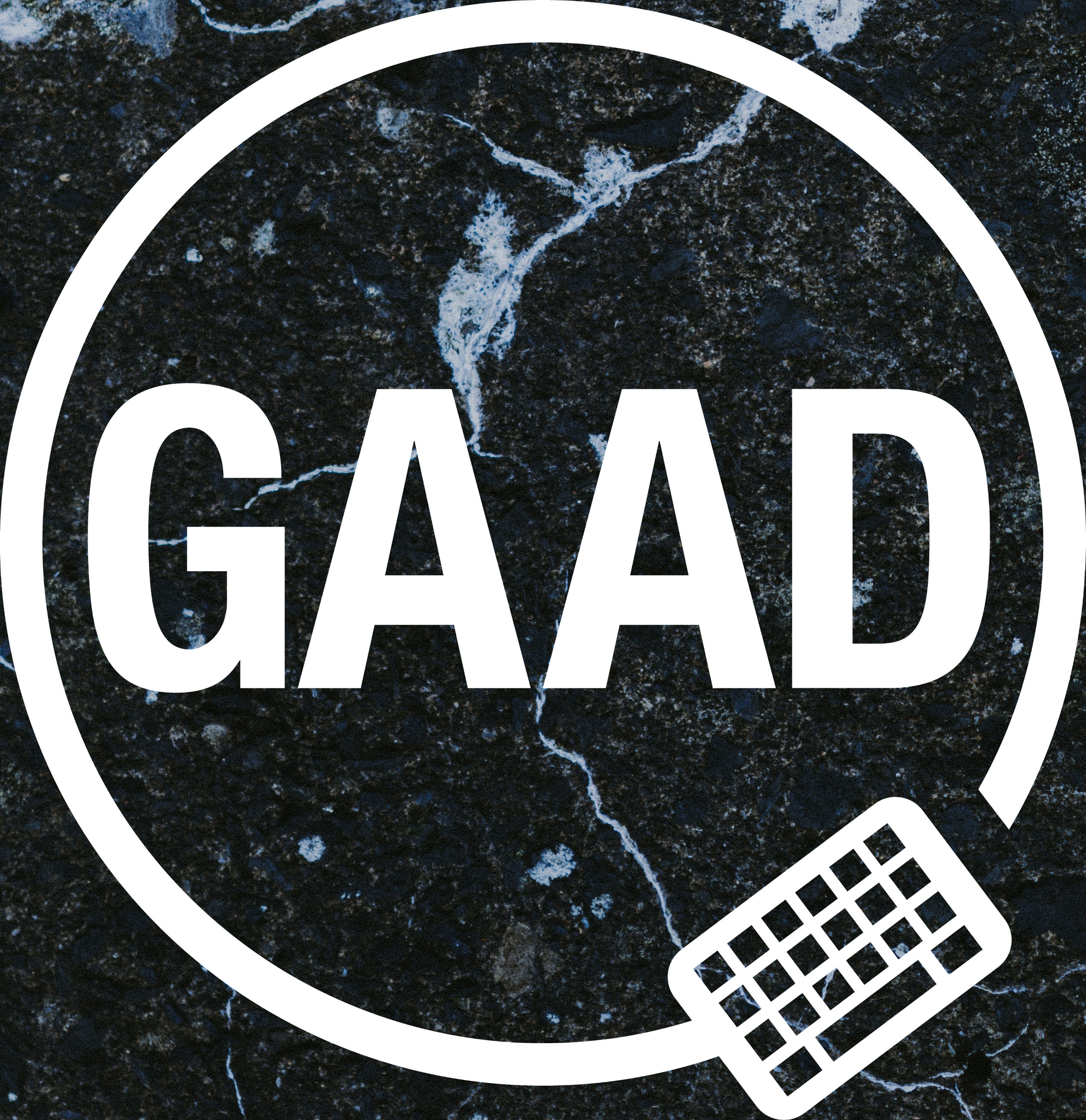 Gaads Software 15 Years of GAAD: Built by Community, Driven by Inclusion