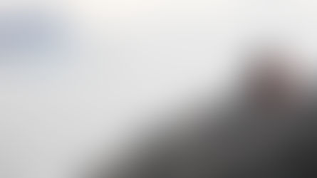 CROSSCONCEPT'S EXPERT TEAM IMPRESSES TRILLIUM SOFTWARE!