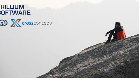 CROSSCONCEPT'S EXPERT TEAM IMPRESSES TRILLIUM SOFTWARE!