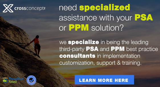 Specialized PSA & PPM Consultancy Services