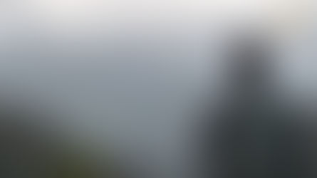 What is PSA Software? How can PSA help my Business?