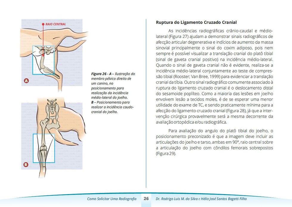 Miniatura: Ebook Como solicitar uma radiografia