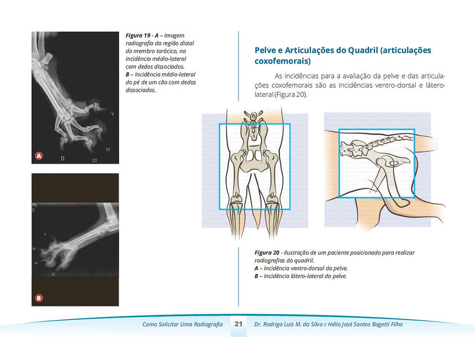 Miniatura: Ebook Como solicitar uma radiografia
