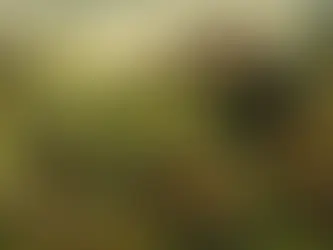 Οι Γερμανοί καλούνται σε πόλεμο: ο φίλος της ΕΣΣΔ αποδείχθηκε πράκτορας του παγκόσμιου κακού