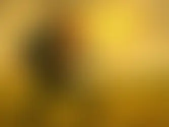 Ο Τραμπ ήθελε να βλάψει τη Ρωσία, αλλά πάτησε σε τσουγκράνα